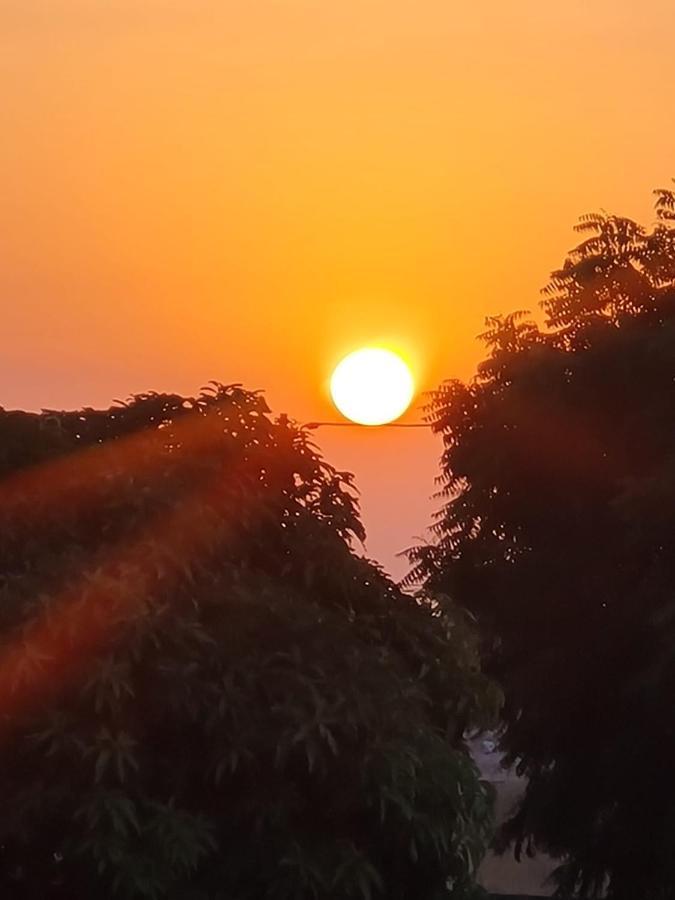 La doré du Sénégal Somone Esterno foto
